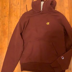 Champion hoodie sweater